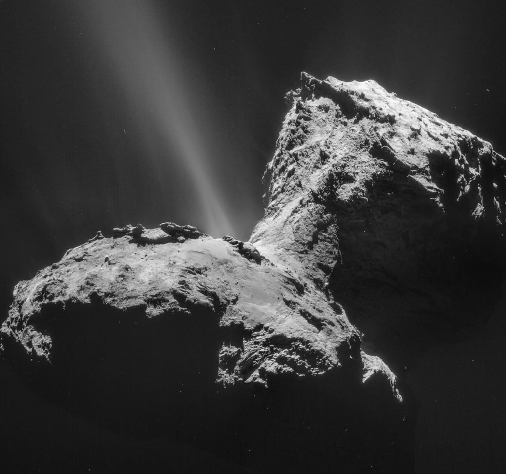 Solid phosphorus and fluorine in the dust from the coma of comet 67P/Churyumov–Gerasimenko