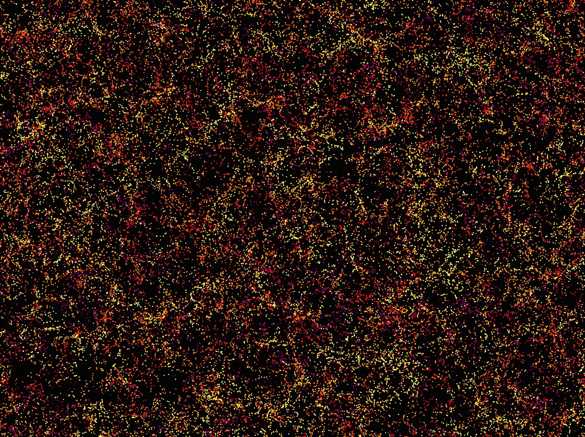 Asymmetry Detected in the Distribution of Galaxies